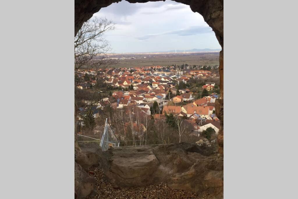 Wunderschoene Wohnung Mit Blick Auf Die Weinberge Neustadt an der Weinstraße Dış mekan fotoğraf