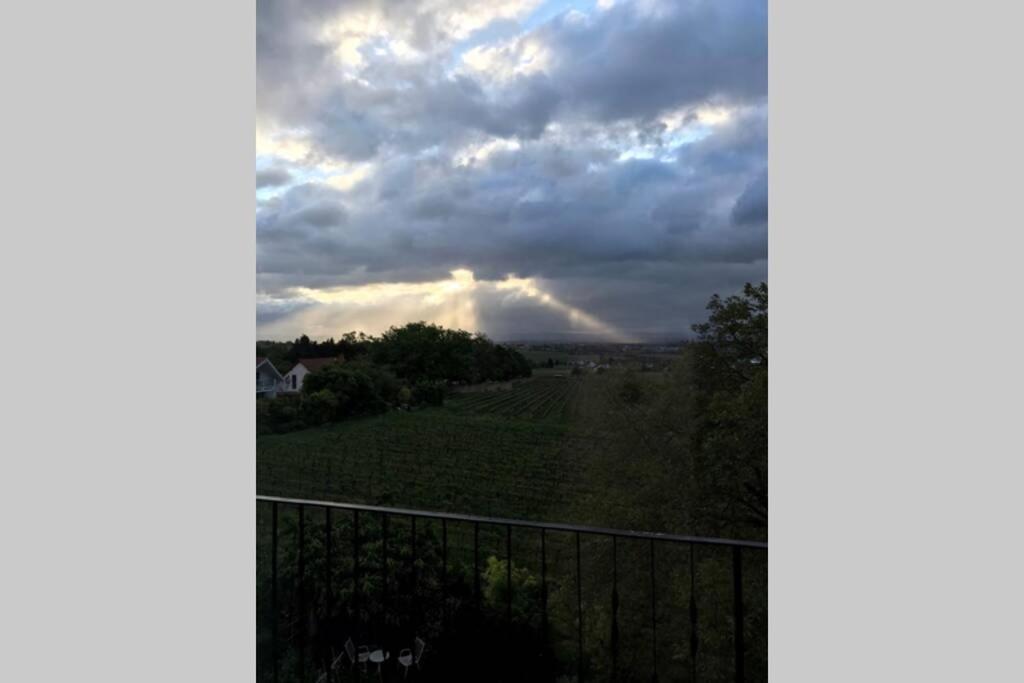 Wunderschoene Wohnung Mit Blick Auf Die Weinberge Neustadt an der Weinstraße Dış mekan fotoğraf