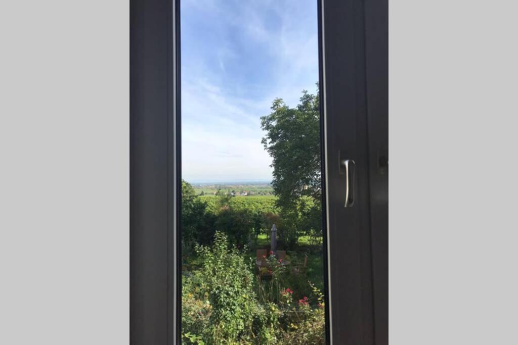 Wunderschoene Wohnung Mit Blick Auf Die Weinberge Neustadt an der Weinstraße Dış mekan fotoğraf